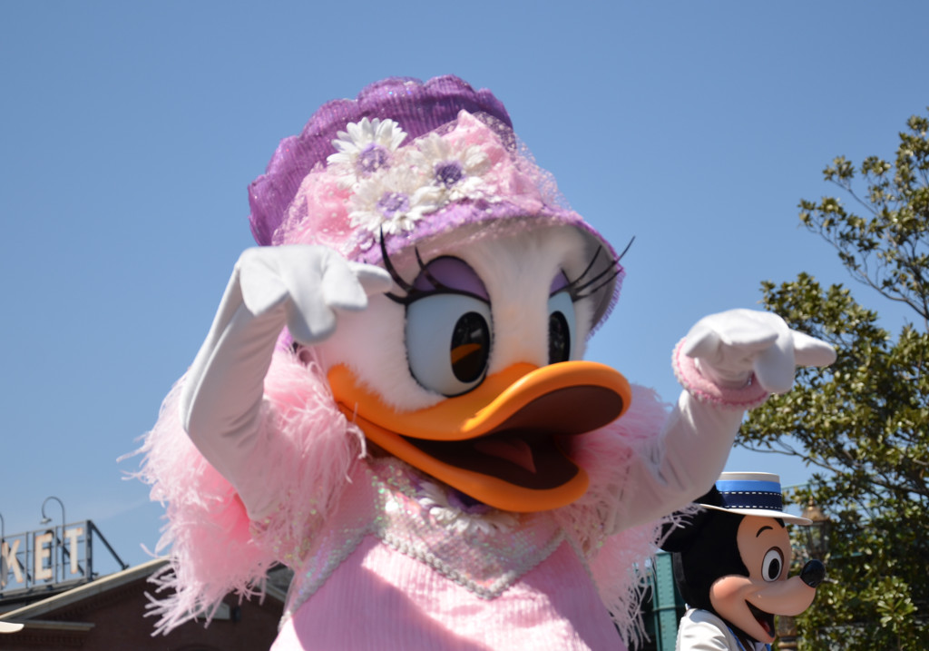 DSC_2794