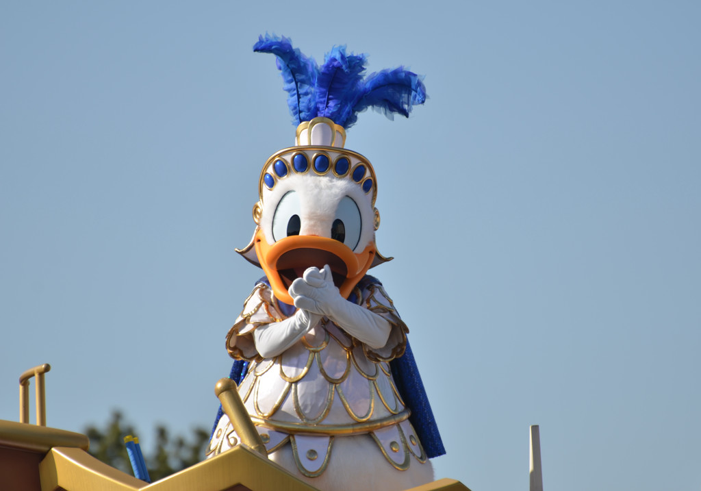 DSC_2511