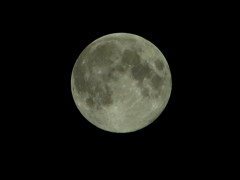 IMG_2569Moon