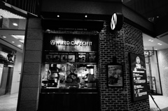 DSC00229