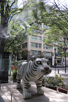 丸の内風景４