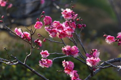 DSC02181