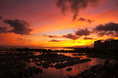 DSC00833a