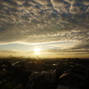 DSC00305