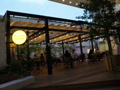 DSC00230a