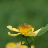 DSC00228