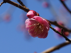 DSC02212a
