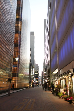銀座の谷間
