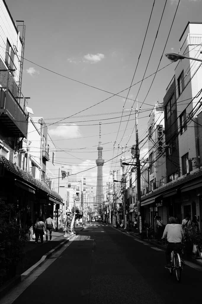 スカイツリーのある風景#8