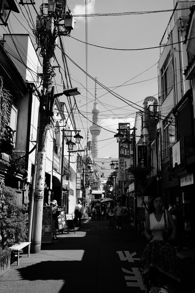 スカイツリーのある風景#3