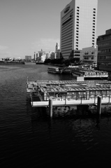 万国橋の屋形船