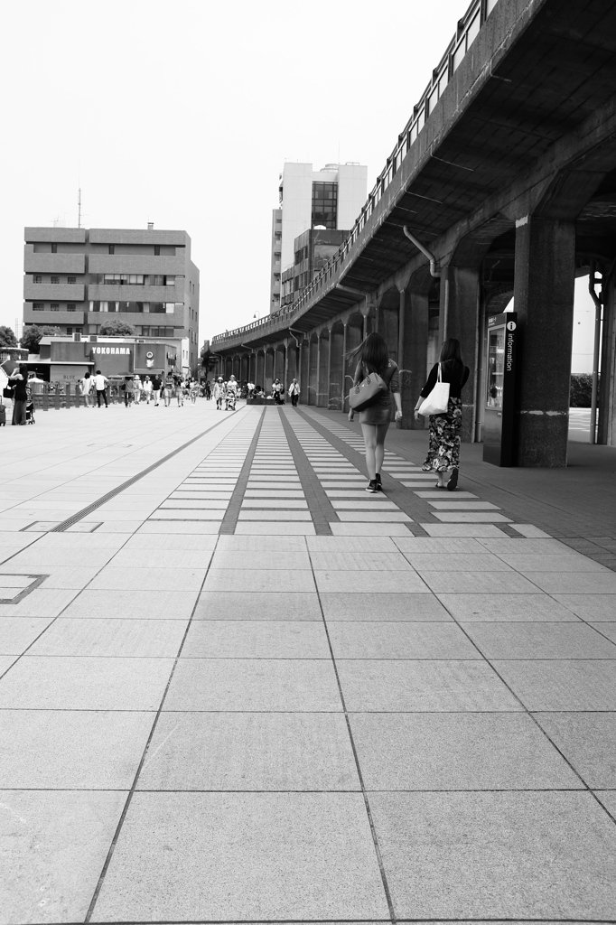 日曜日の開港広場