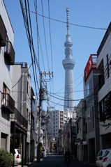 スカイツリーのある風景