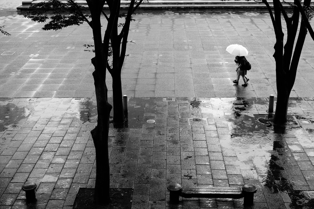 傘と水たまり