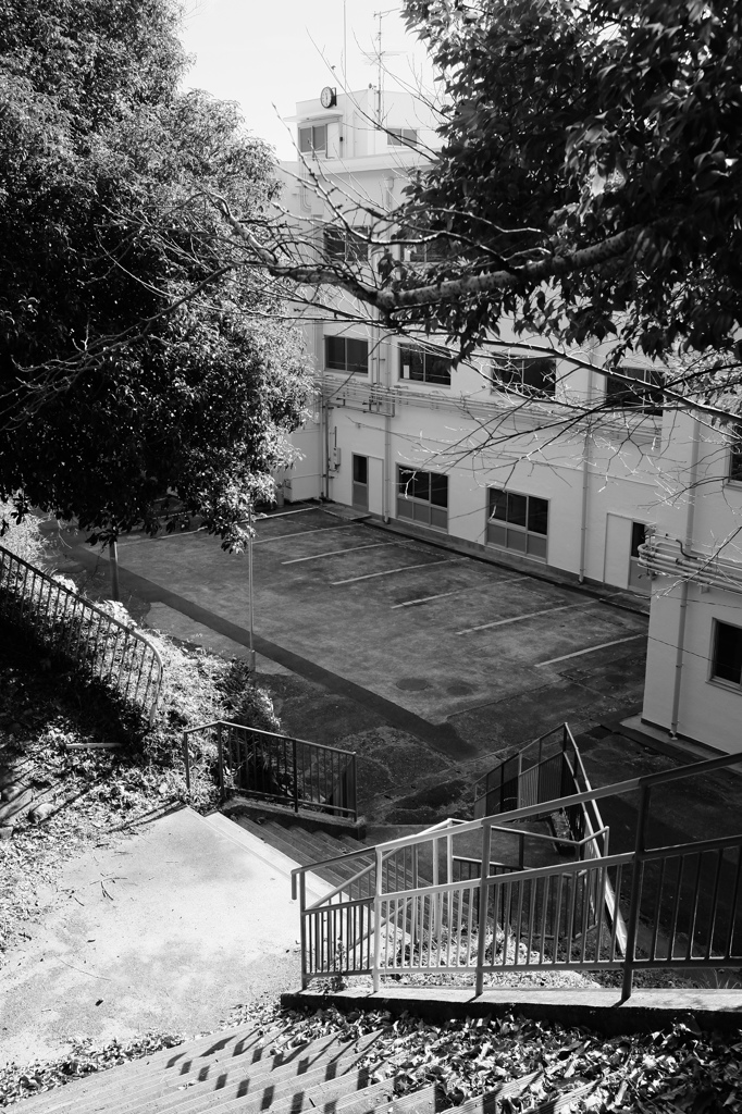 見慣れた学校の裏側