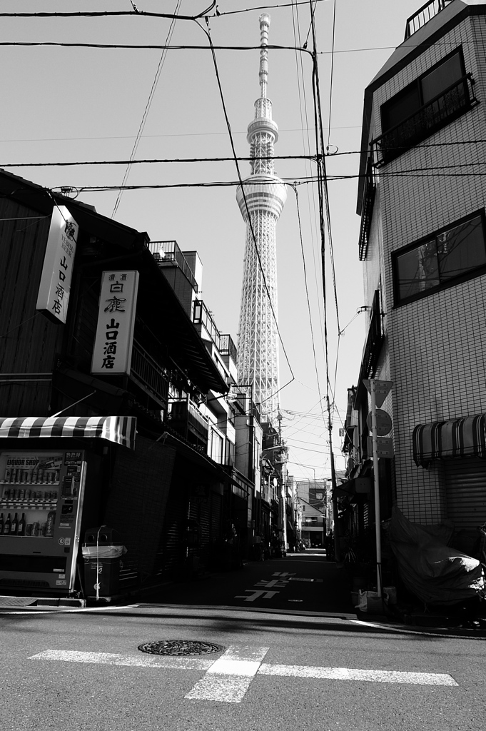 スカイツリーのある風景#2