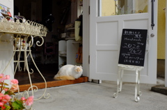 こねこのワルツ