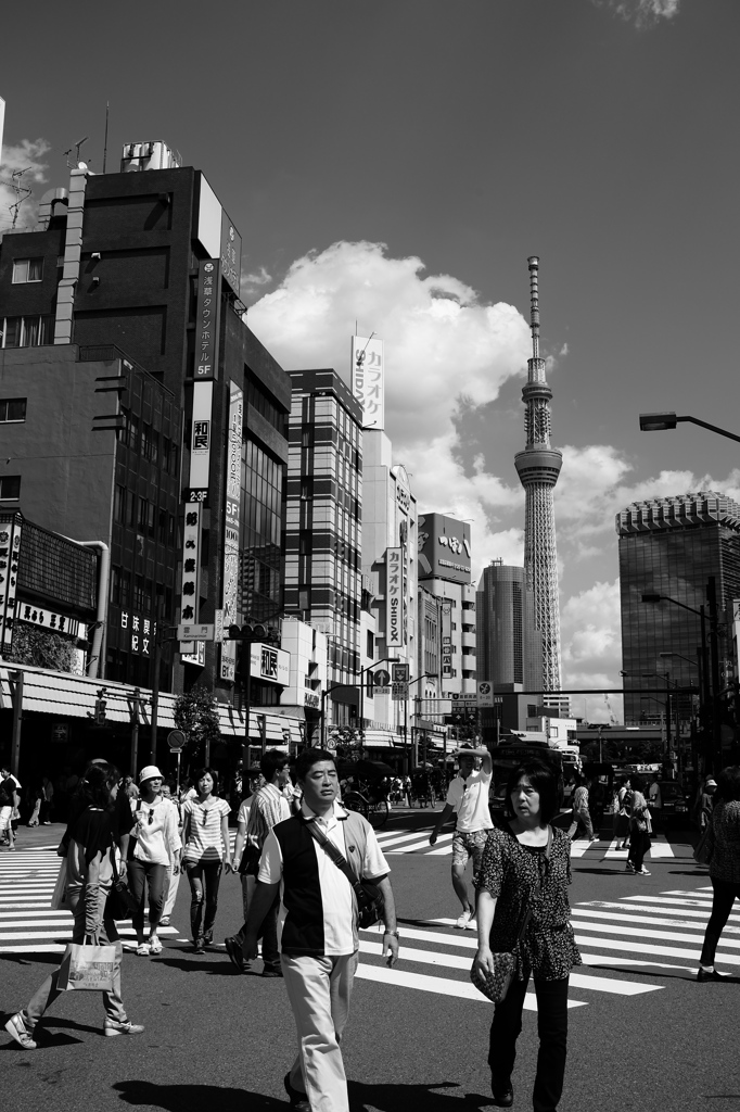スカイツリーのある風景#4
