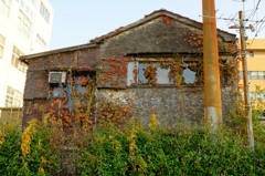 tuta