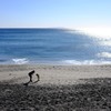 砂浜の親子