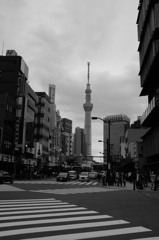 浅草からの東京スカイツリー