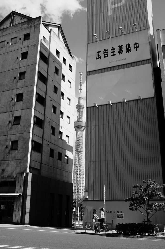 スカイツリーのある風景#6
