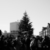 赤レンガ倉庫のクリスマスツリー