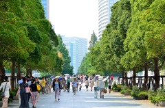 みなとみらいの夏の風景