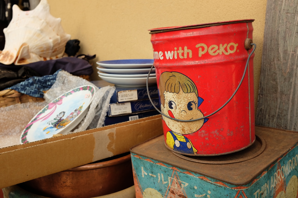 Pekoの視線