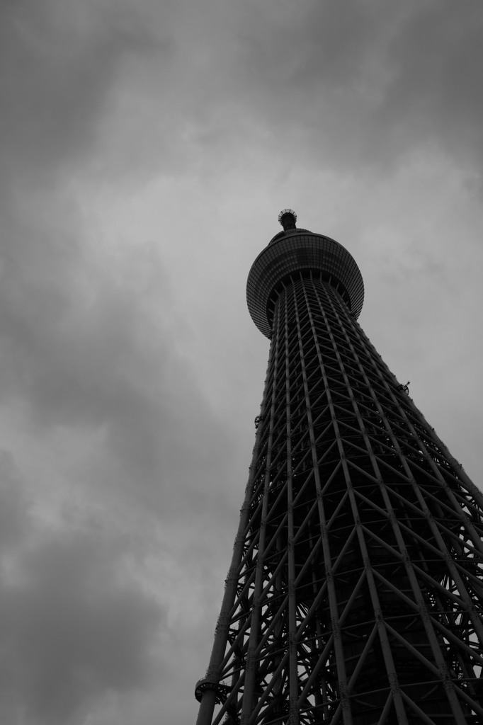 曇天の東京スカイツリー