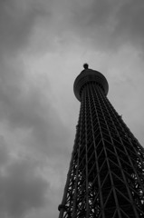 曇天の東京スカイツリー