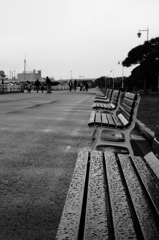 雨の日の山下公園