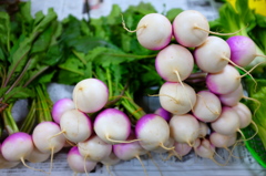 鎌倉野菜の「あやめかぶ」
