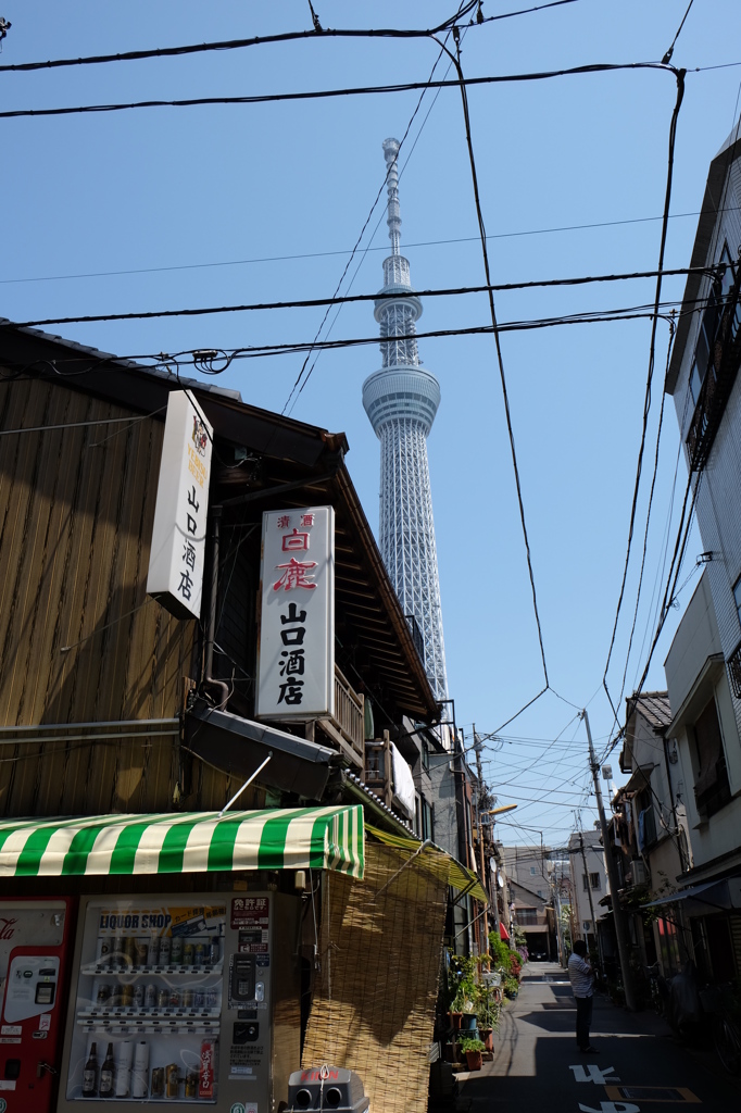 酒屋とスカイツリー