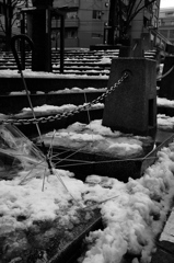 暴風雪の翌日