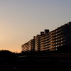 夕焼け