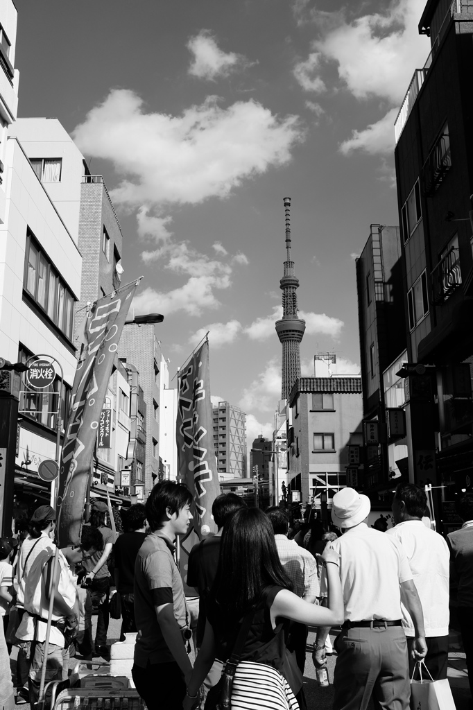 スカイツリーのある風景#10
