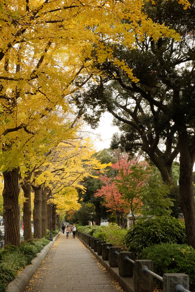 山下公園通り