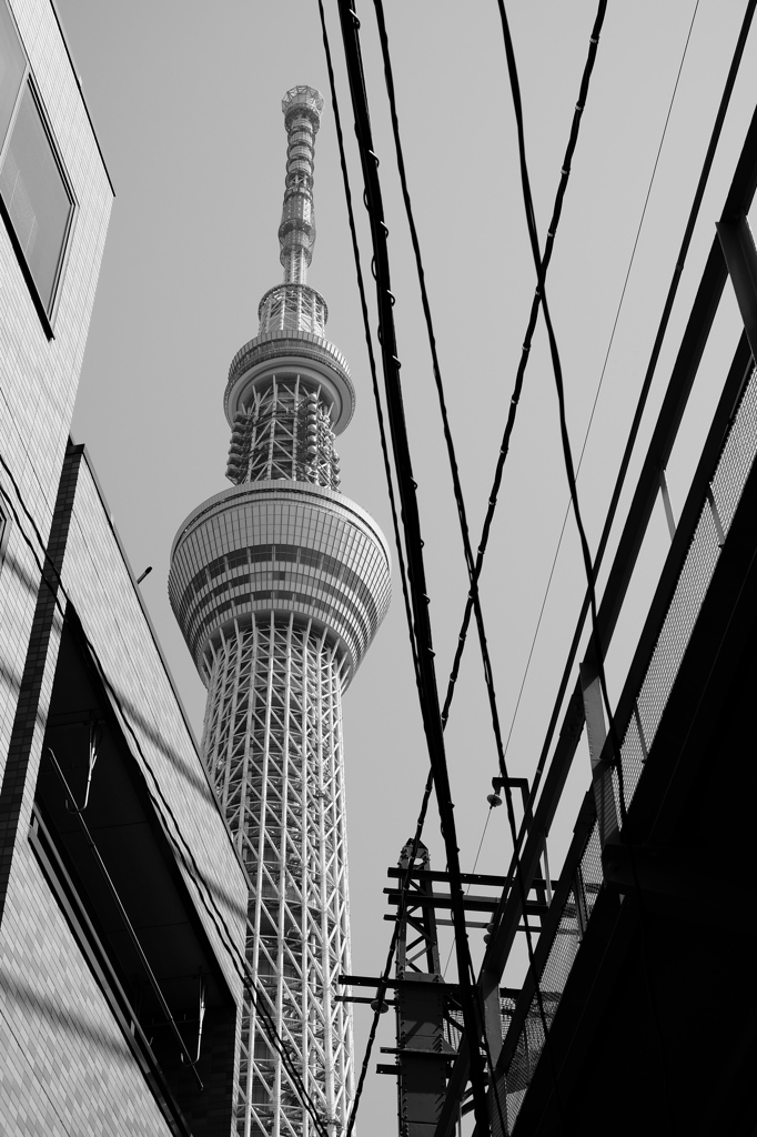 スカイツリーと生活
