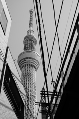スカイツリーと生活