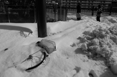 大雪の翌日