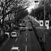 日の丸の続く表参道