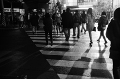雪解けの輝き