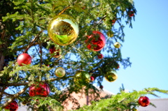 赤レンガ倉庫のクリスマスツリー