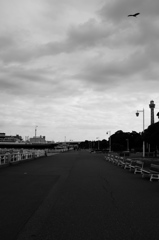人の少ない山下公園