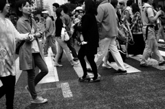横断歩道
