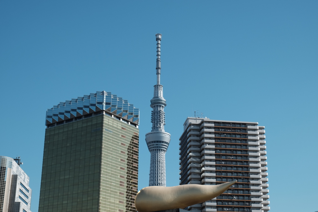 スカイツリーのある風景#1