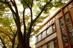 異国のような