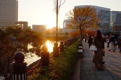 汽車道の夕刻