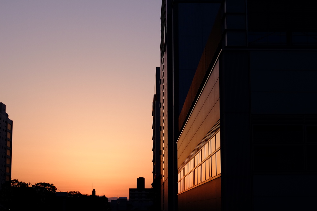 3月11日の夕焼け